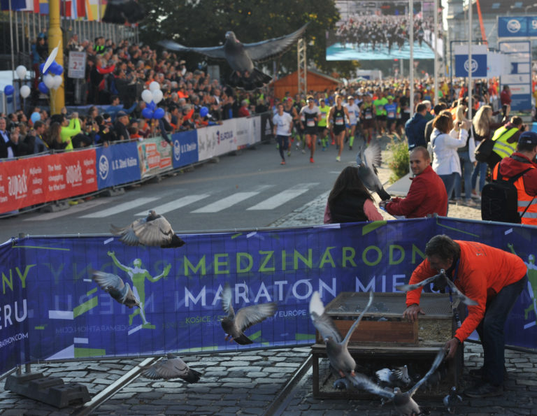 ATLETIKA: 94. ročník MMM