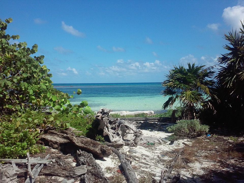 Beach 2223009_960_720.jpg