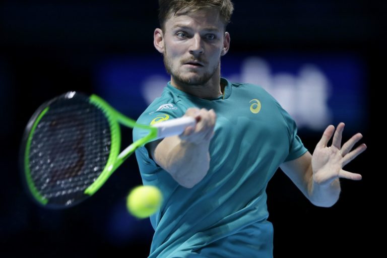 David Goffin