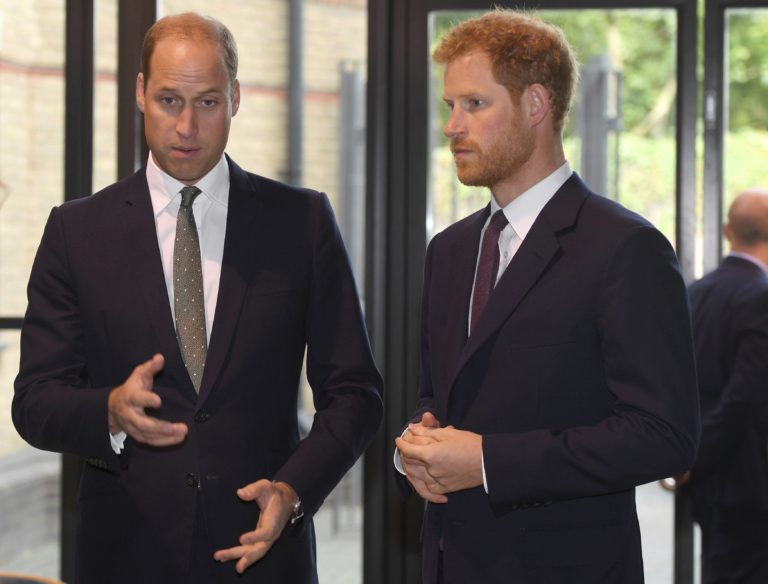 Britskí princovia William a Harry