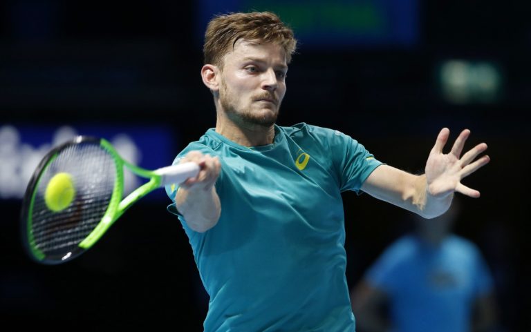 David Goffin