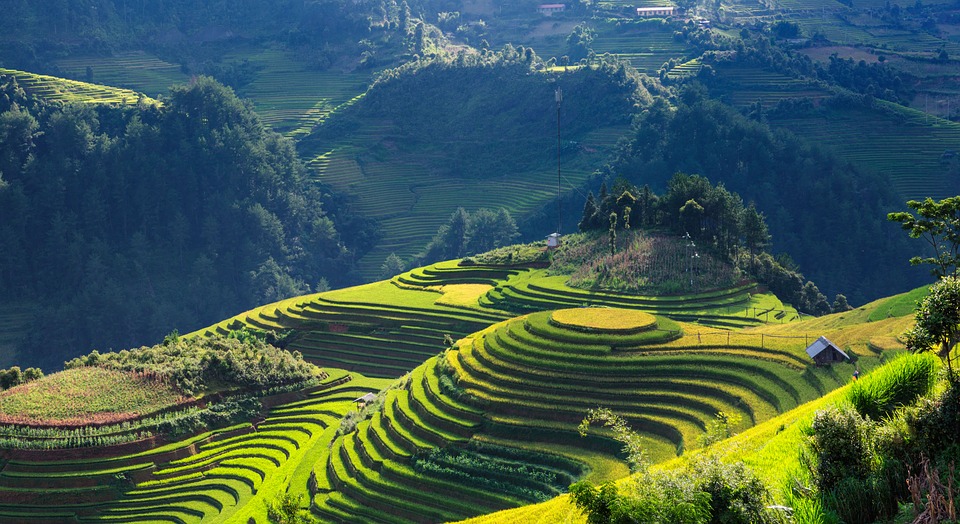 Scenery 2846777_960_720.jpg