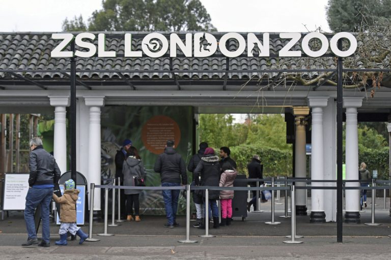 Londýn, zoo