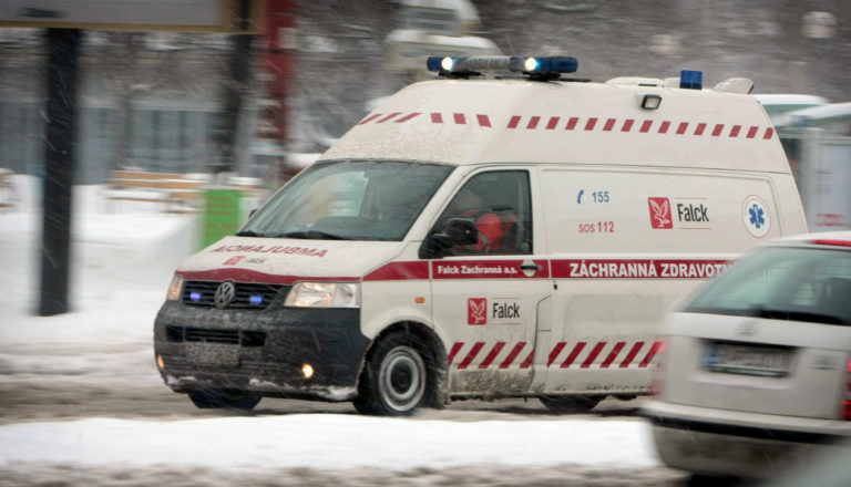 Sanitka, zdravotná služba