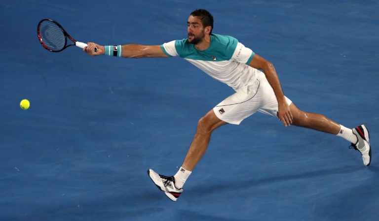 Marin Čilič
