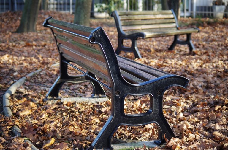 Lavička, park, zeleň