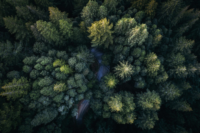 Intrum_landscapes_001_rf_small.jpg
