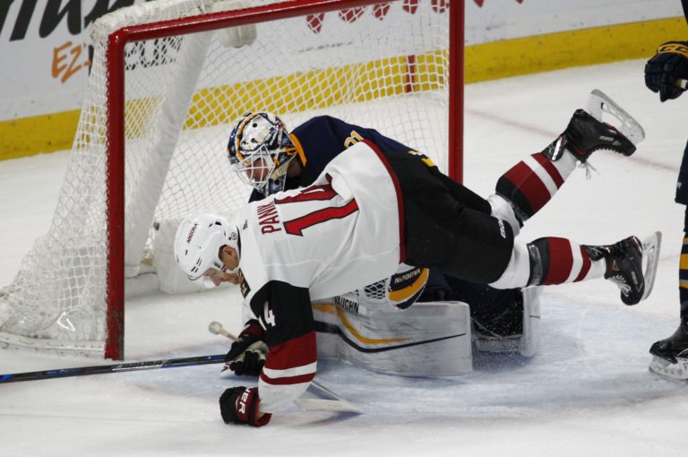 Richard Pánik, NHL, Arizona Coyotes