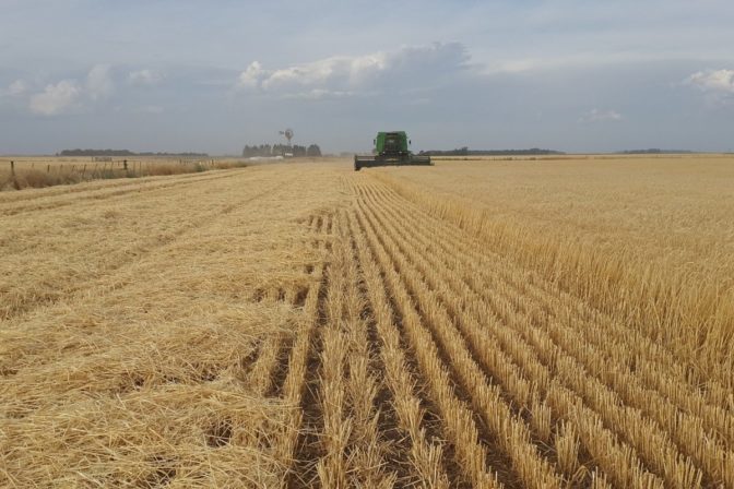 Field 2468835_1280.jpg