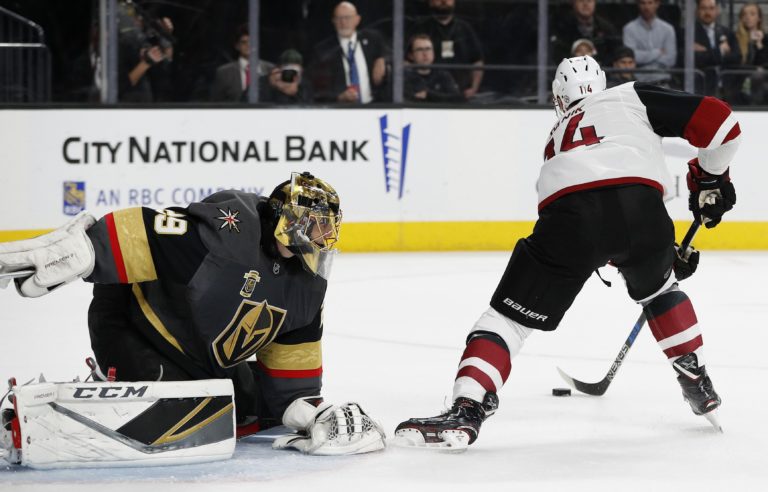 Marc Andre Fleury, Richard Pánik