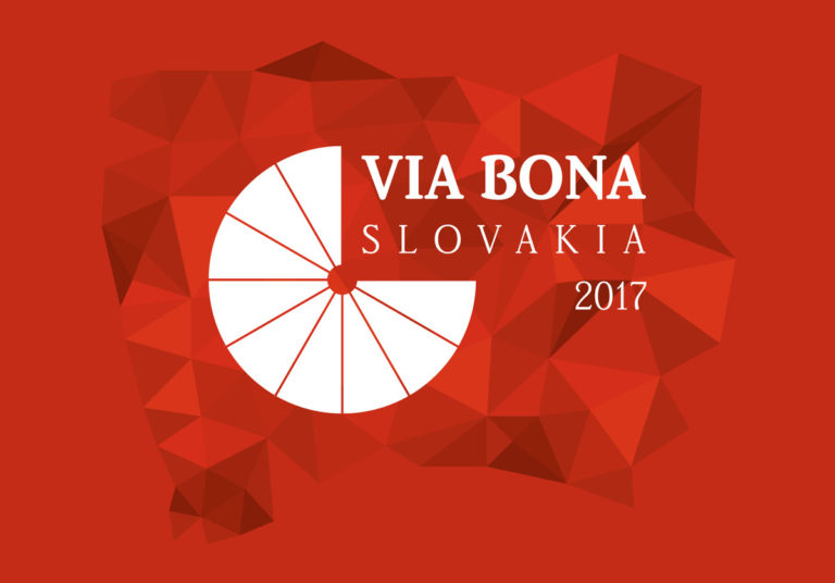 Pontis_vbs2017_banner_1200x837.jpg