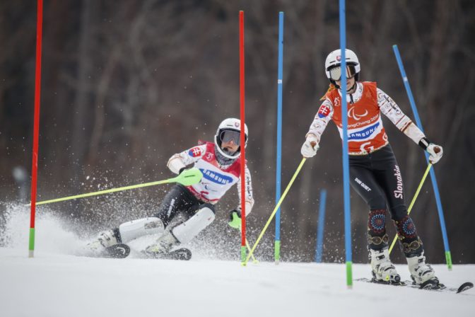 Farkašoví, Šubrtová