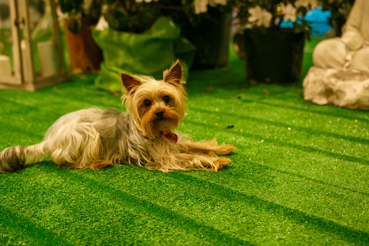 Photo by &#91;http://facebook.com/alexdphotography&#93;