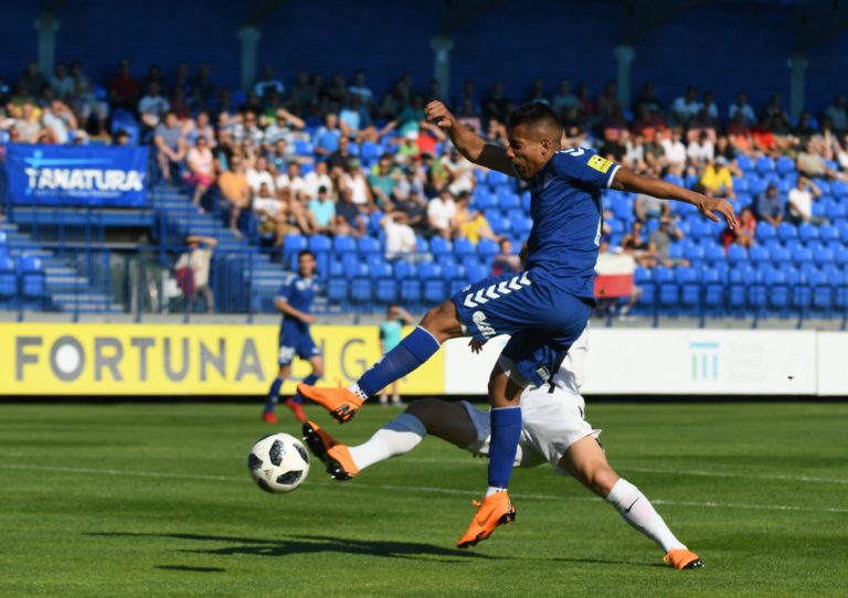 Frank Castaneda, Lukáš Švrček
