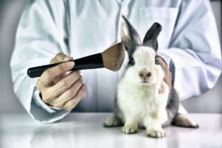 Testovanie kozmetiky na zvieratách
