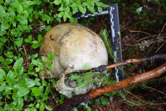 POLÍCIA: V lese našli ľudskú lebku