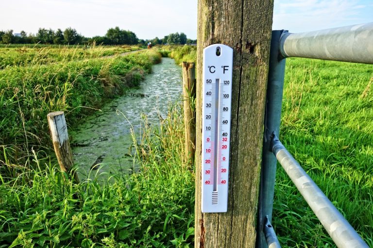 Thermometer 2906817_1280.jpg