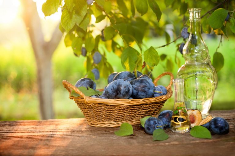 Slivka, slivovica, alkohol, liehovina
