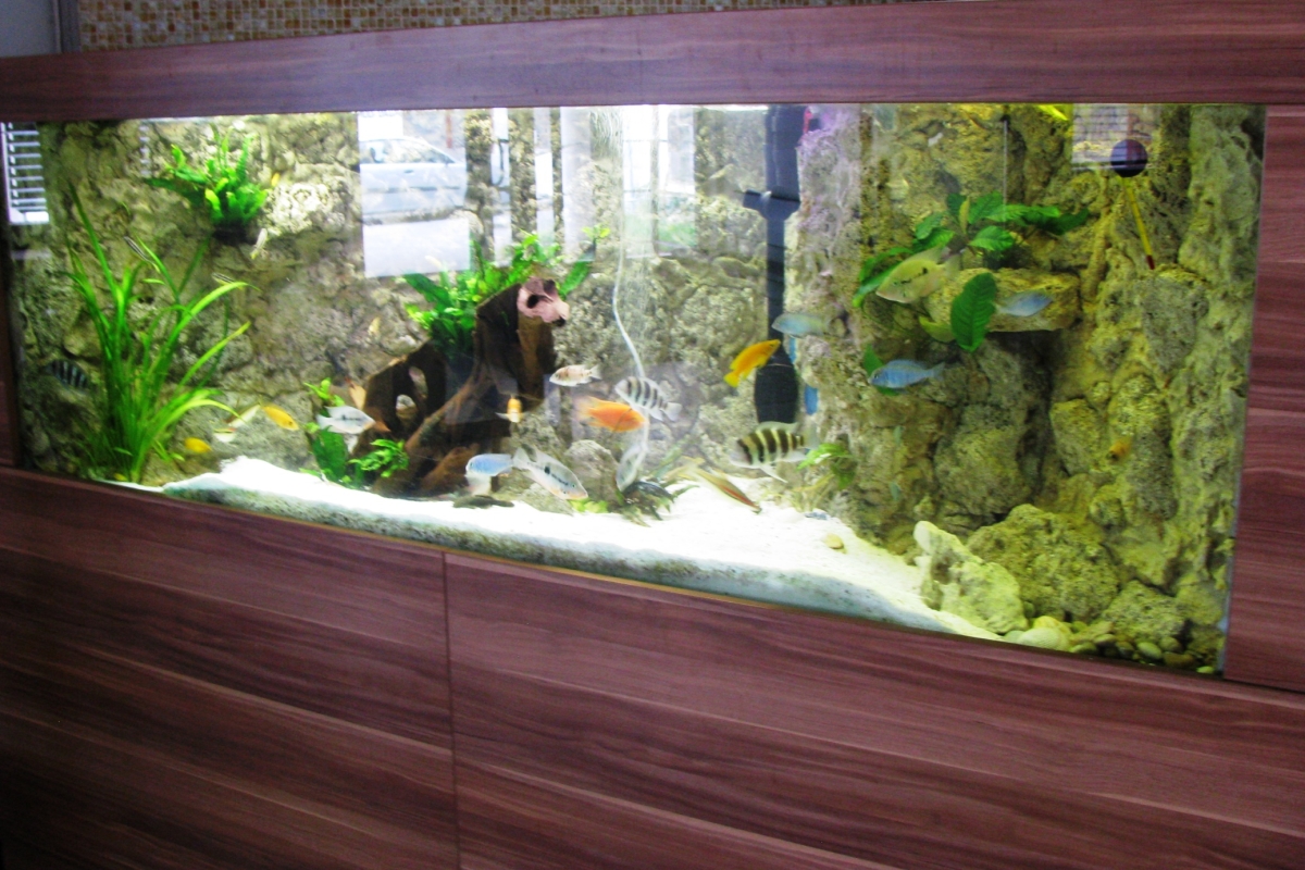 Zilina_akvarium.jpg