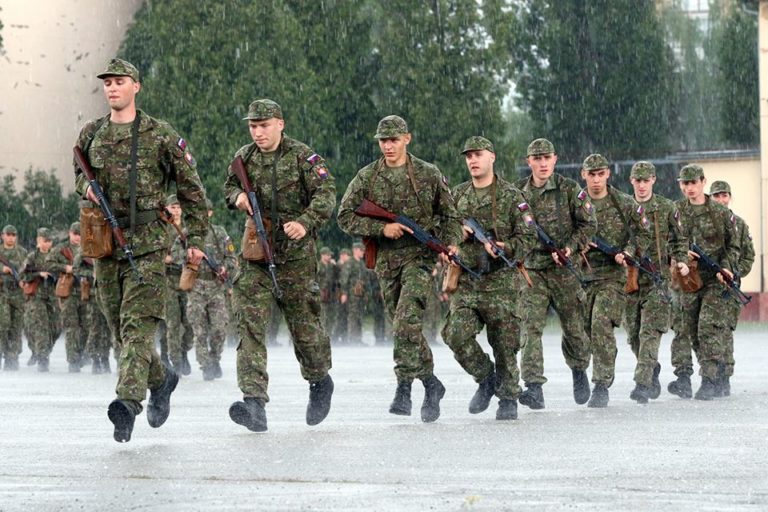 Armáda SR, Dobrovoľná vojenská príprava