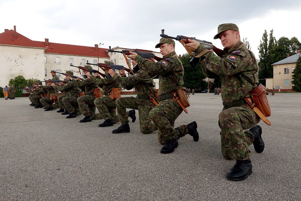 Armáda SR, Dobrovoľná vojenská príprava