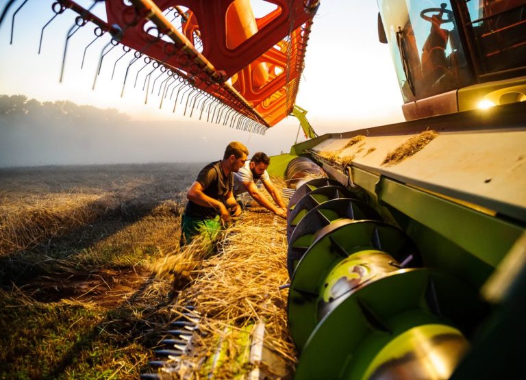 Farmári, poľnohospodárstvo, žatva