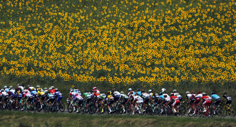 France Cycling Tour de France
