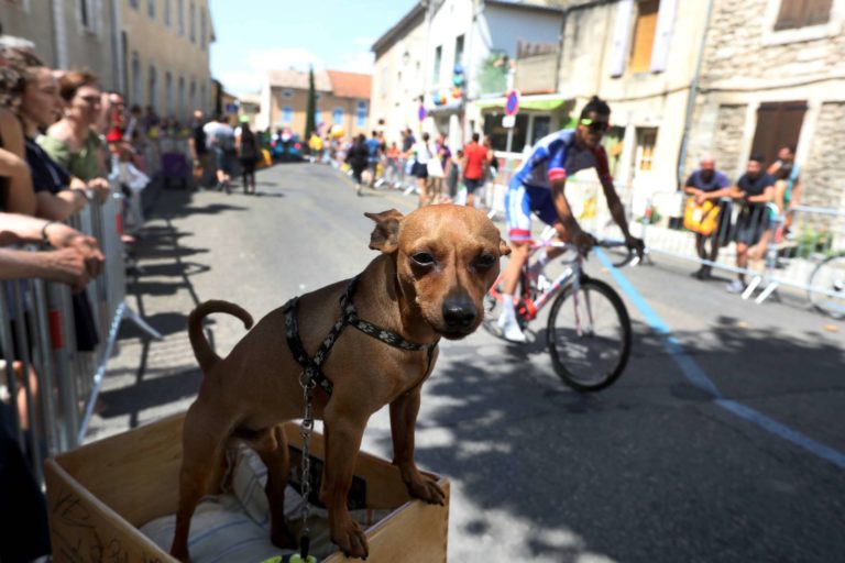 Tour de France - 14. etapa