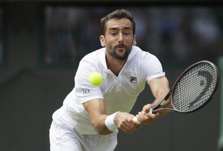Marin Čilič