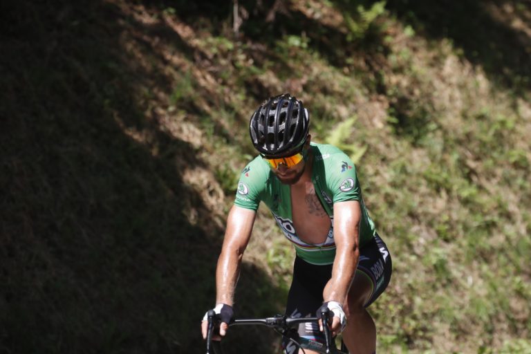 Peter Sagan