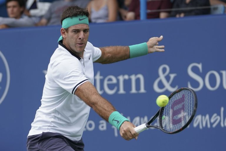 Juan Martín del Potro