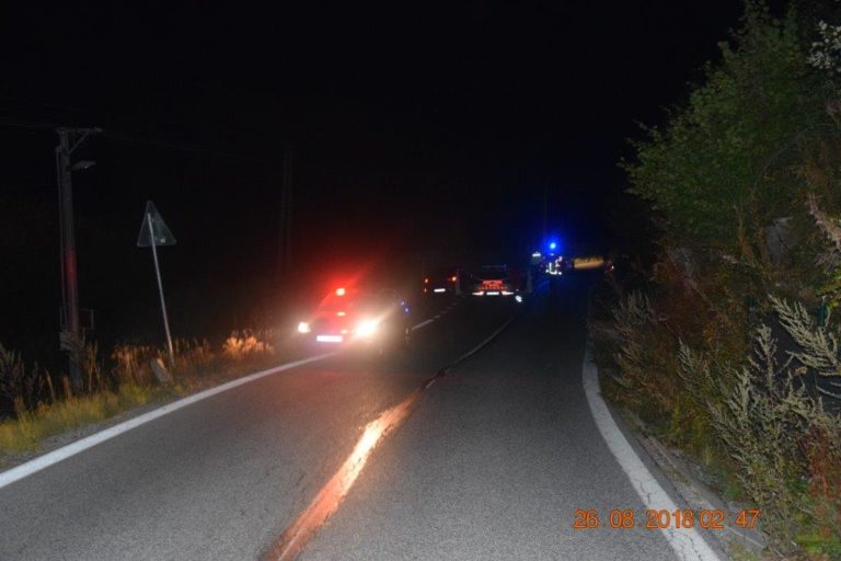 Nehoda, polícia
