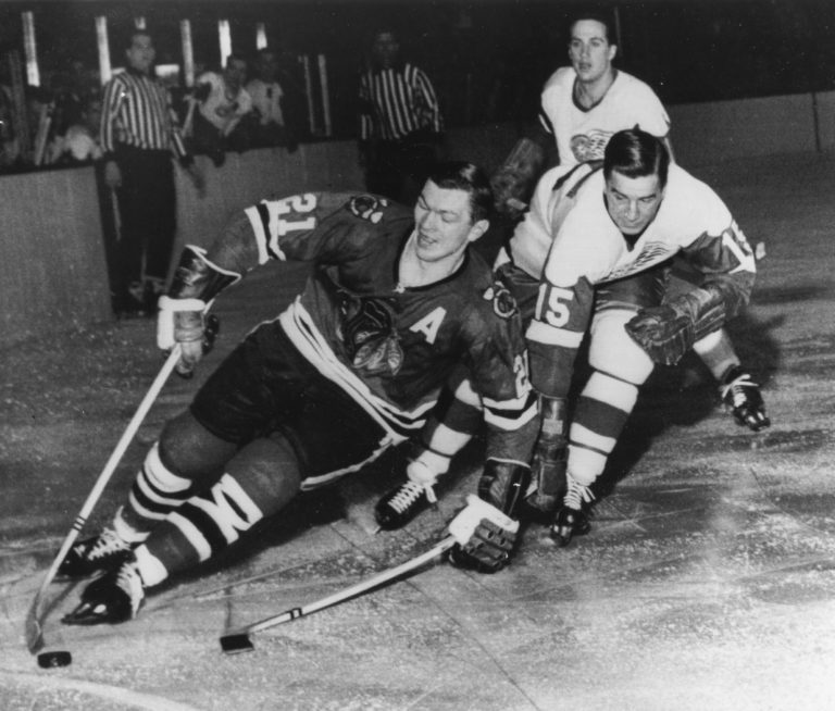 Stan mikita