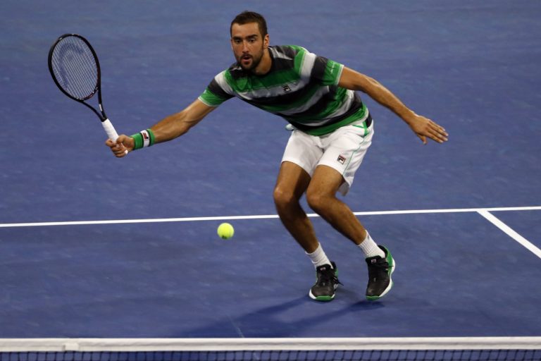 Marin Čilič