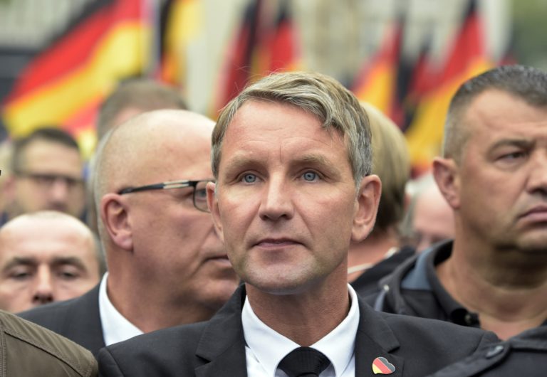 Björn Höcke, AfD