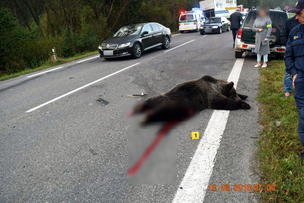 POLÍCIA: Tragická dopravná nehoda