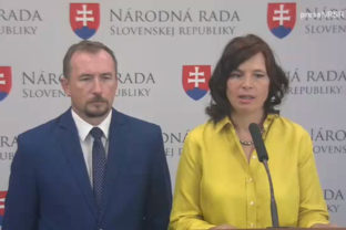 Veronika Remišová - SAV vinou ministerstva školstva kolabuje. Výzva ministerke Lubyovej a poslancom vládnej koalície.
