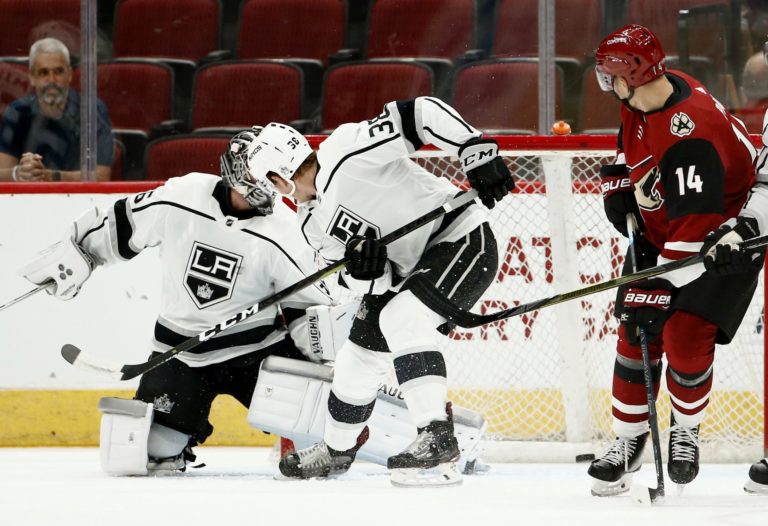 Richard Pánik, Arizona Coyotes