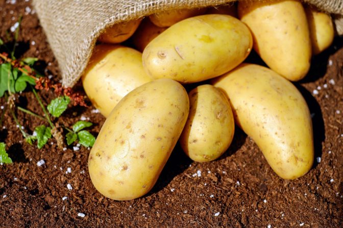 Potatoes 1585075_1280.jpg