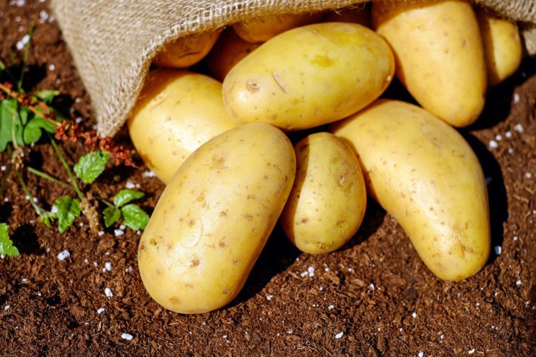 Potatoes 1585075_1280.jpg