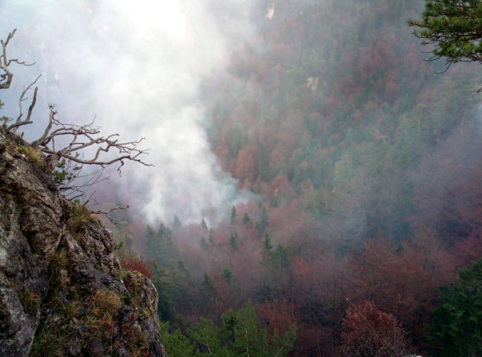 Požiar lesa v Gaderskej doline