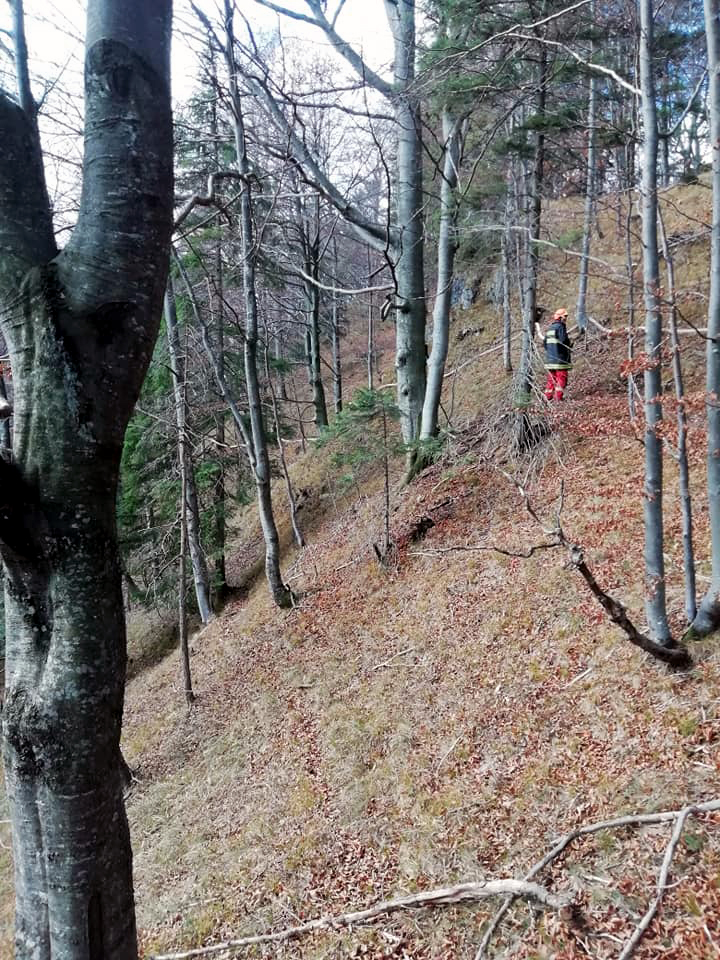 HASIČI: Požiar lesa v Gaderskej doline