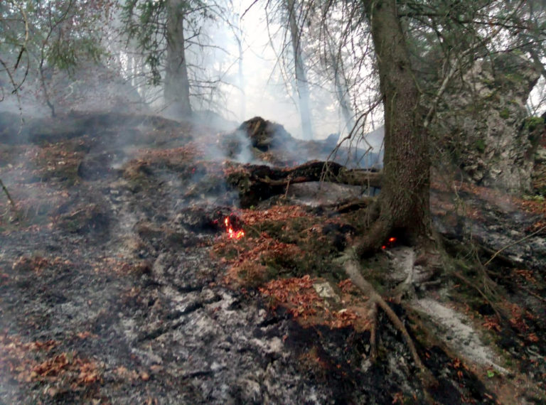 Požiar lesa v Gaderskej doline