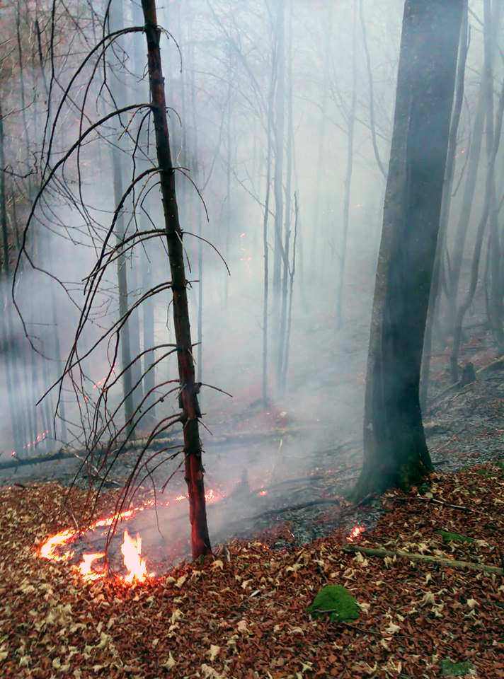 Požiar lesa v Gaderskej doline