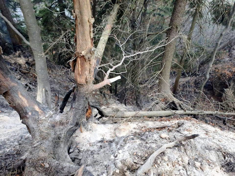 HASIČI: Požiar lesa v Gaderskej doline