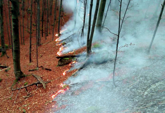 HASIČI: Požiar lesa v Gaderskej doline