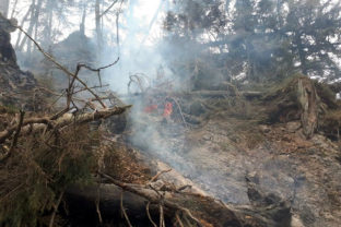 HASIÈI: Poiar lesa v Gaderskej doline