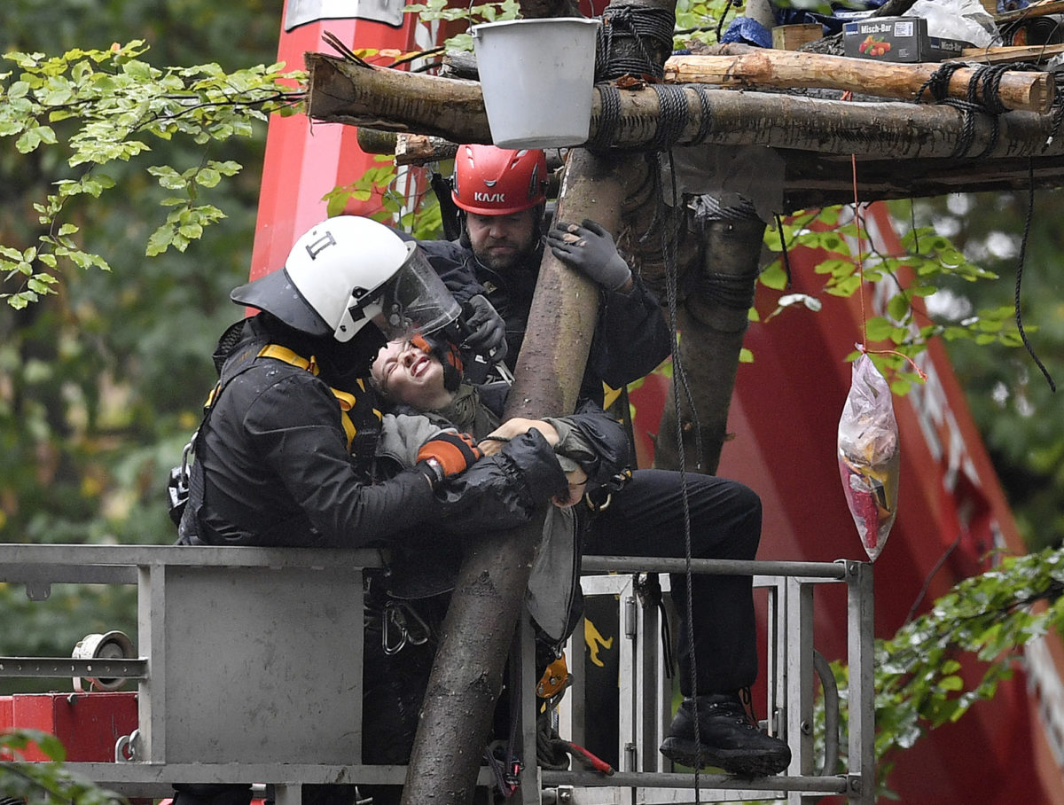 Germany Forest Standoff