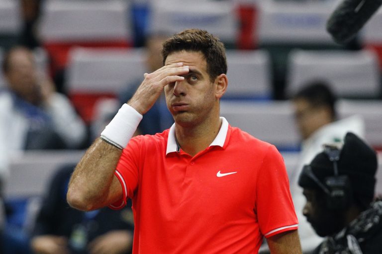 Juan Martín Del Potro