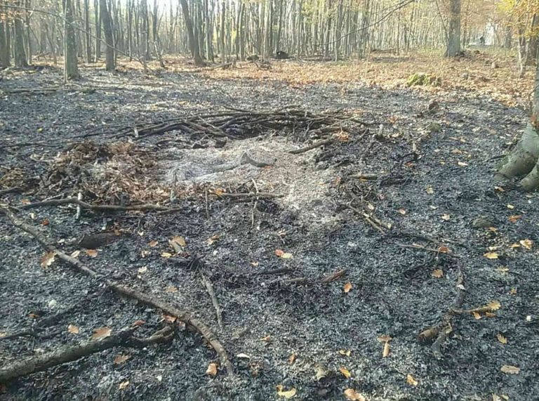 Lesný požiar pri obci Lukovištia
